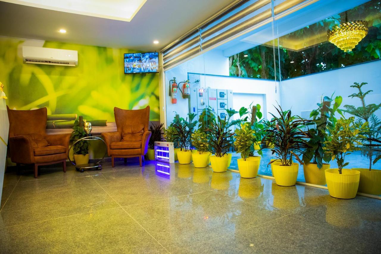 Lime Tree Luxury Studio - Service Apartment Near Artemis Hospital ,Gurgaon Zewnętrze zdjęcie